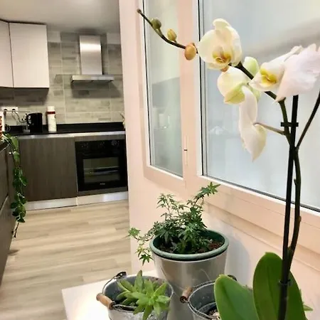 Saras * Περούτζια