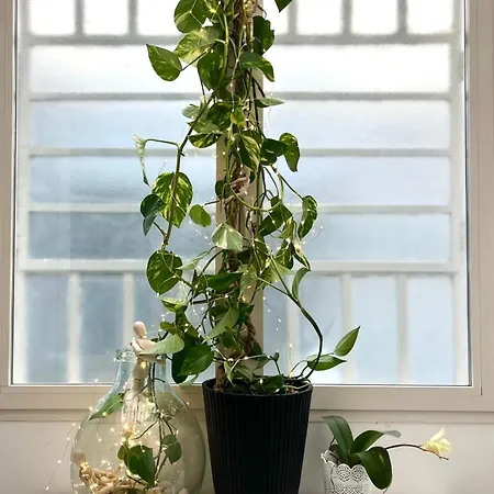 Saras Διαμέρισμα *