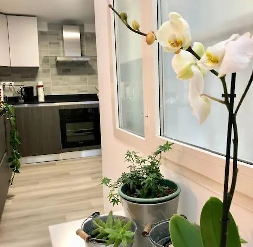 Saras * ペルージャ