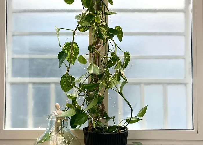 Saras アパート *